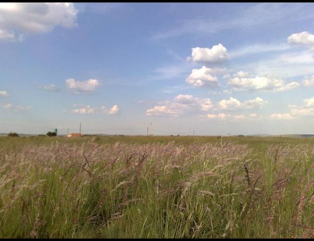 FARM FOR SALE IN STERKFONTEIN